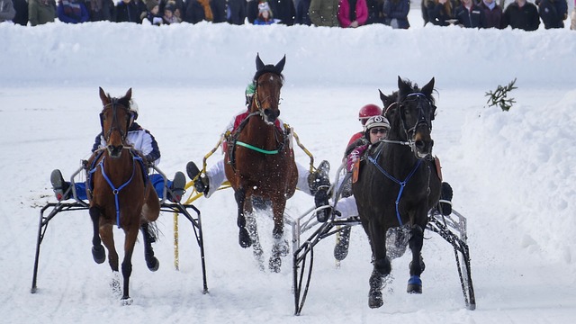 乐部在国内 乐部在国内