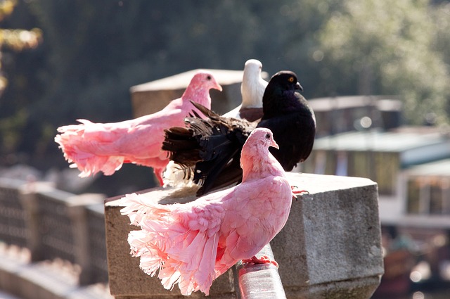 也为品牌和 也为品牌和