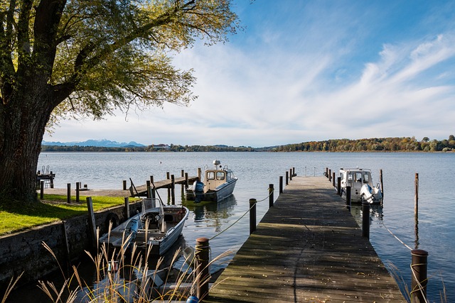 为队友创造 为队友创造