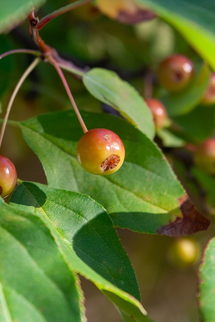 露薄弱环节 露薄弱环节