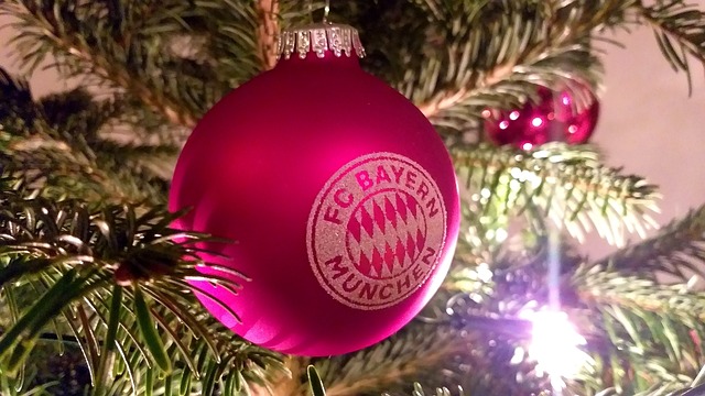 公牛的对决 公牛的对决