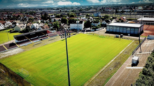 动发展方面 动发展方面