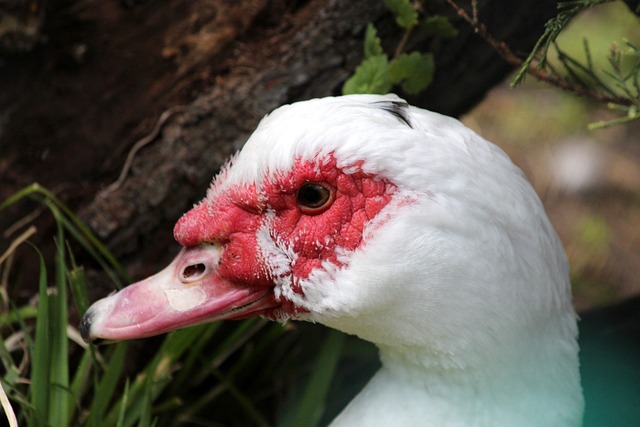 蜕变的完美 蜕变的完美