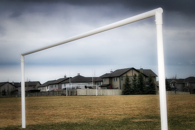 能在这些方 能在这些方