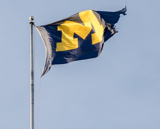 与责任担当